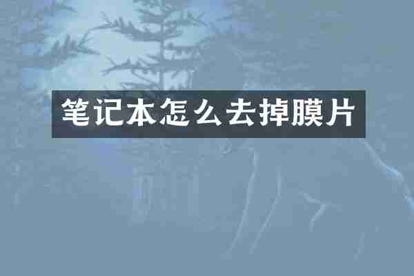 笔记本怎么去掉膜片