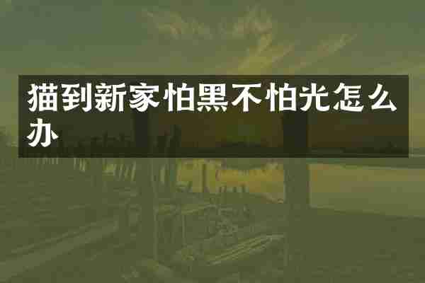 猫到新家怕黑不怕光怎么办