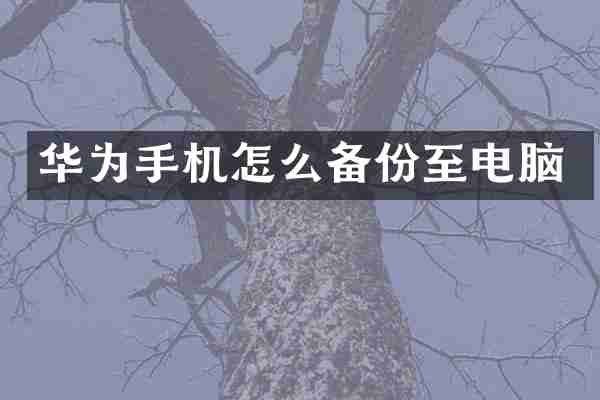 华为手机怎么备份至电脑