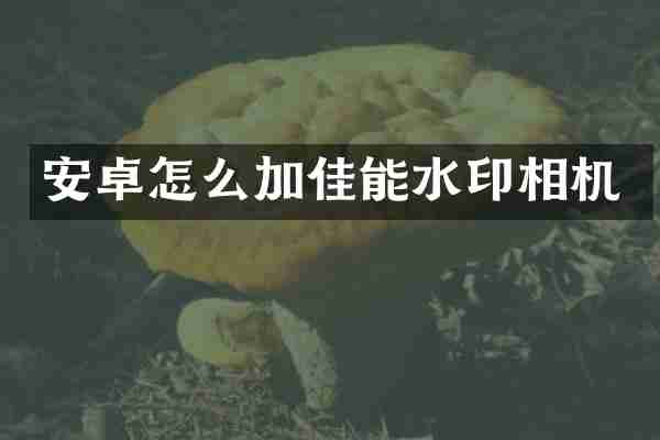 安卓怎么加佳能水印相机