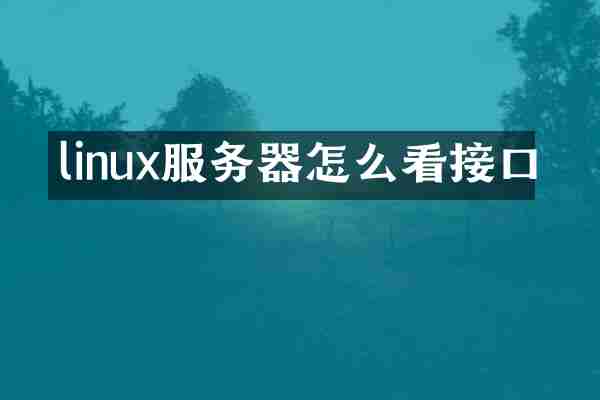 linux服务器怎么看接口