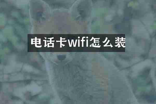 电话卡wifi怎么装