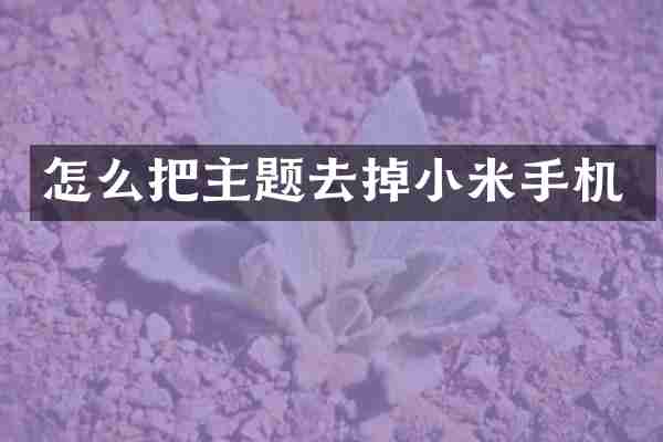怎么把主题去掉小米手机