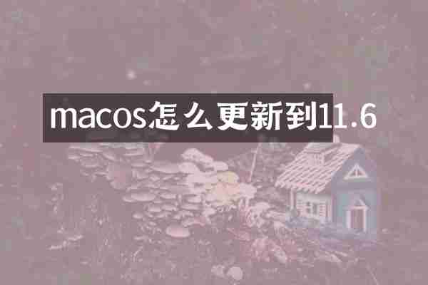 macos怎么更新到11.6
