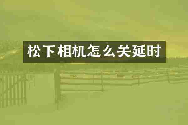 松下相机怎么关延时