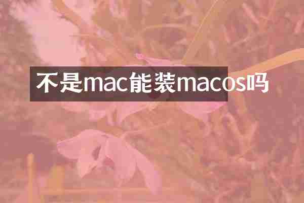 不是mac能装macos吗