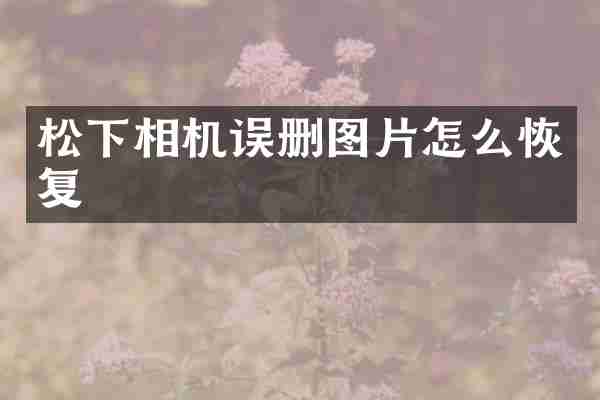 松下相机误删图片怎么恢复