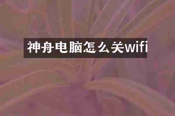 神舟电脑怎么关wifi