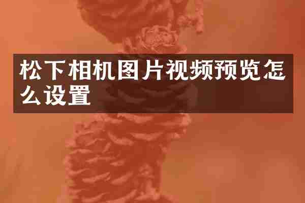 松下相机图片视频预览怎么设置