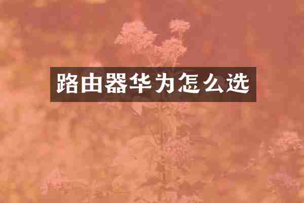 路由器华为怎么选