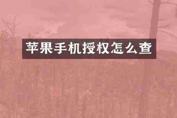 苹果手机授权怎么查