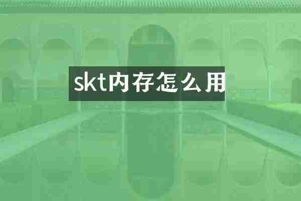 skt内存怎么用