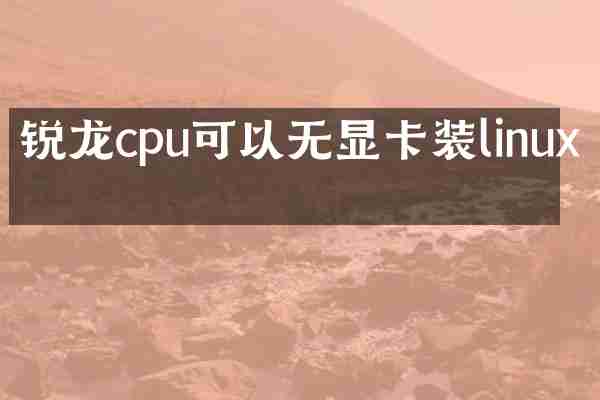 锐龙cpu可以无显卡装linux吗