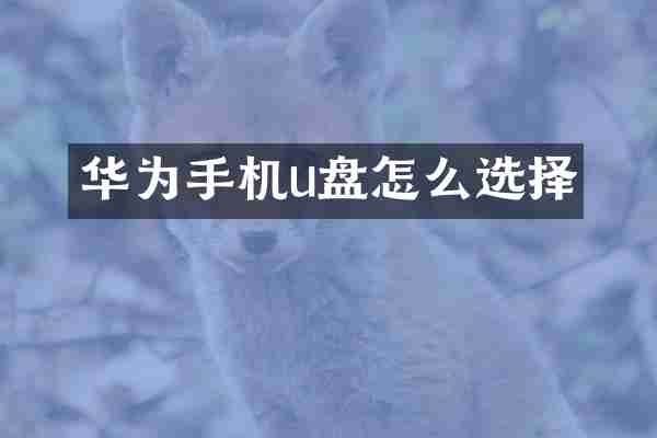 华为手机u盘怎么选择