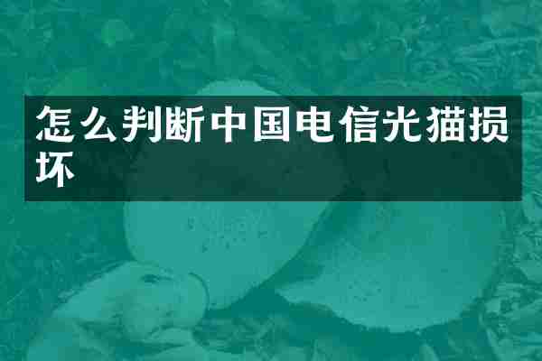 怎么判断中国电信光猫损坏