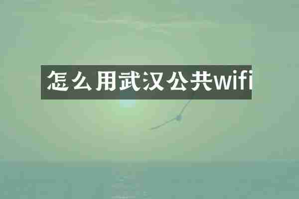 怎么用武汉公共wifi