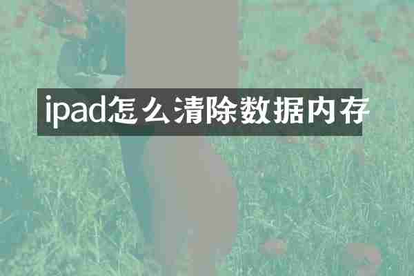 ipad怎么清除数据内存