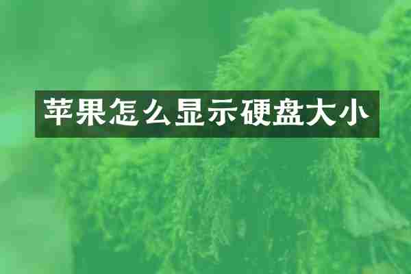 苹果怎么显示硬盘大小