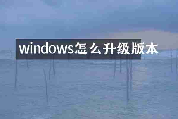 windows怎么升级版本
