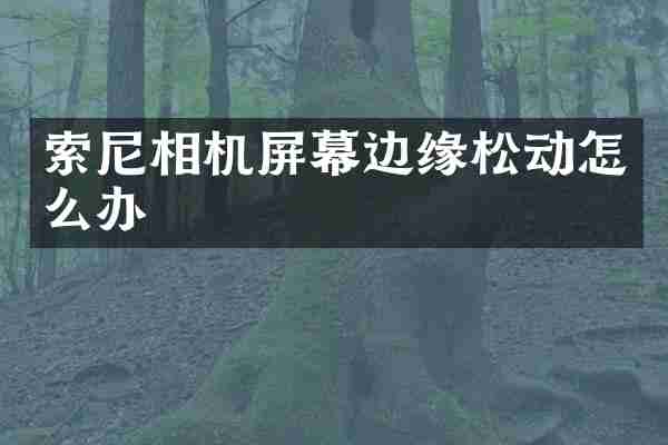 索尼相机屏幕边缘松动怎么办