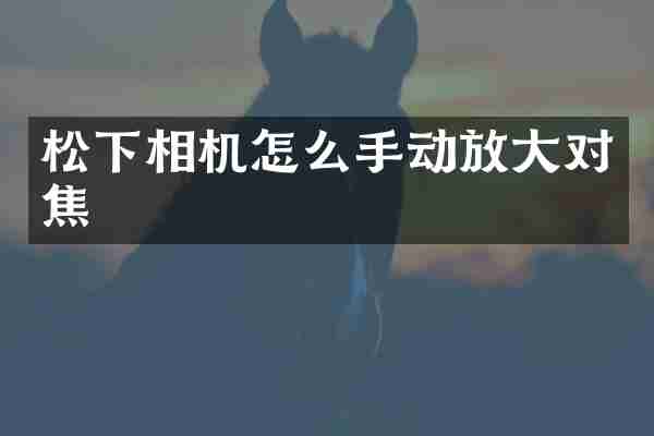 相机怎么手动放大对焦