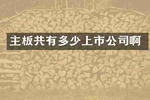 主板共有多少上市公司啊