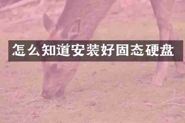 怎么知道安装好固态硬盘
