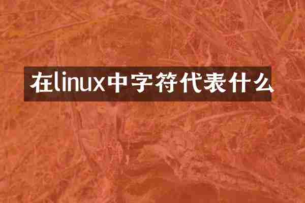 在linux中字符代表什么