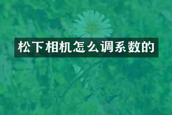 松下相机怎么调系数的