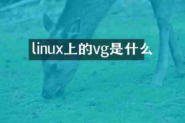 linux上的vg是什么