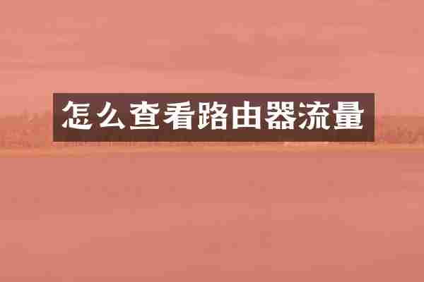 怎么查看路由器流量