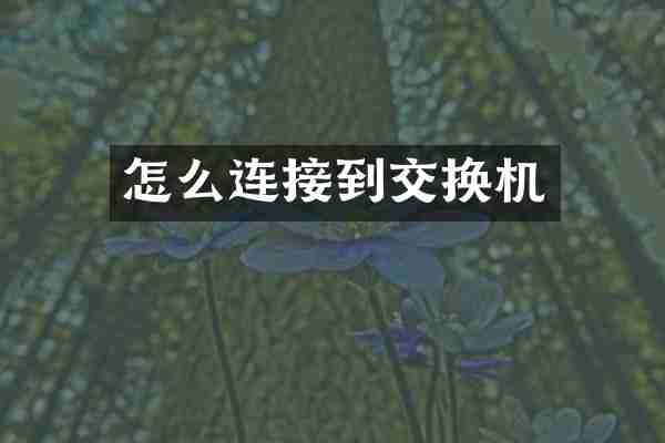 怎么连接到交换机