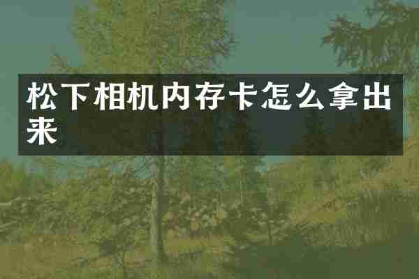 相机内存卡怎么拿出来