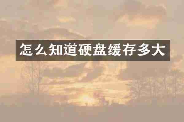 怎么知道硬盘缓存多大