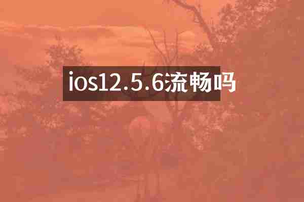 ios12.5.6流畅吗
