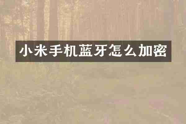 小米手机蓝牙怎么加密