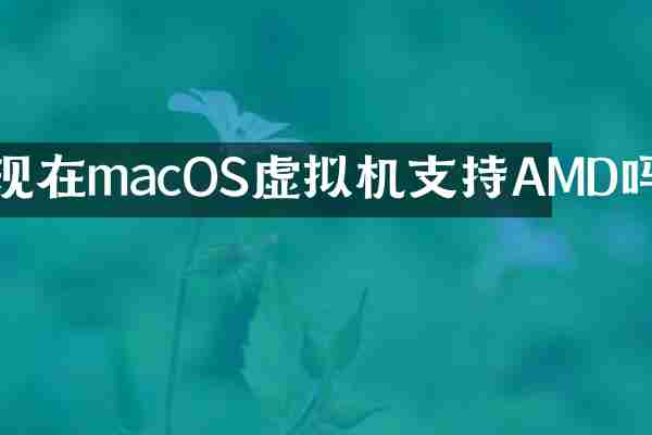 现在macOS虚拟机支持AMD吗