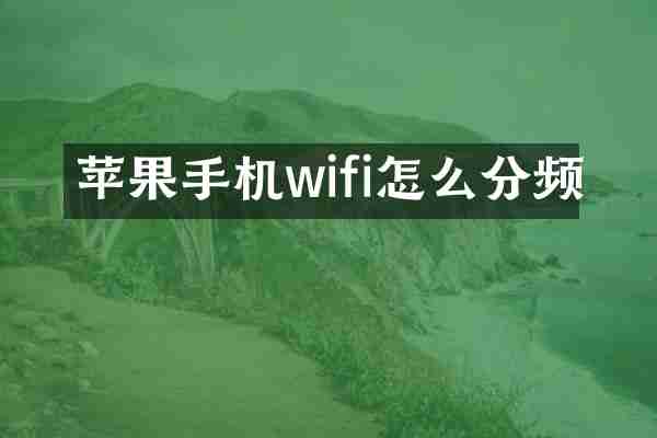 苹果手机wifi怎么分频