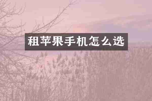 租苹果手机怎么选