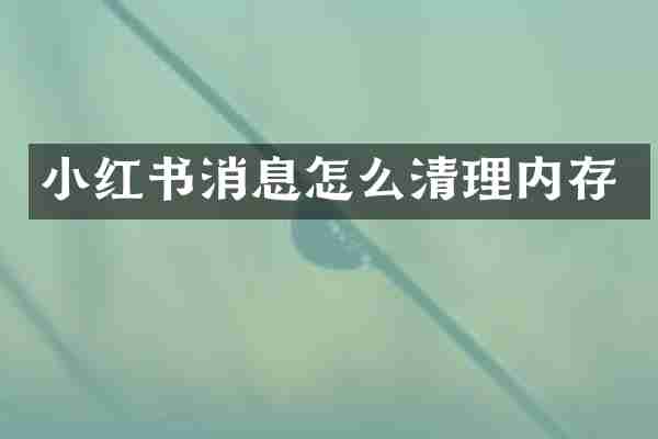 小红书消息怎么清理内存