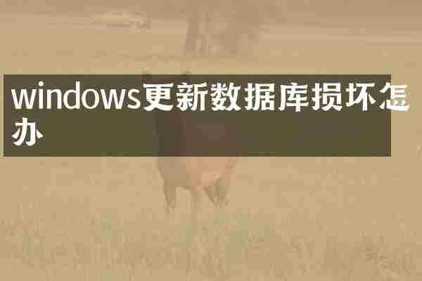 windows更新数据库损坏怎么办