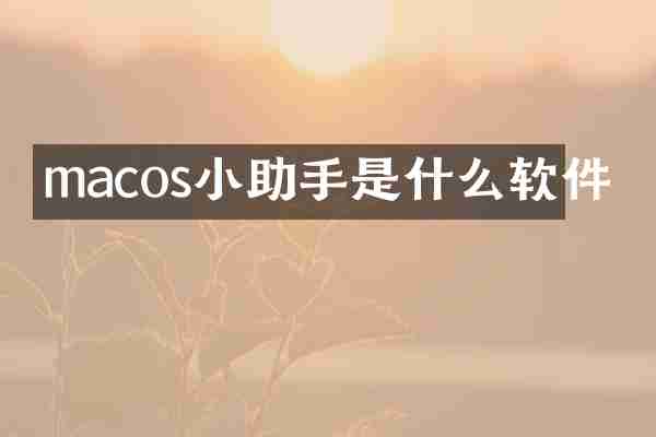 macos小助手是什么软件