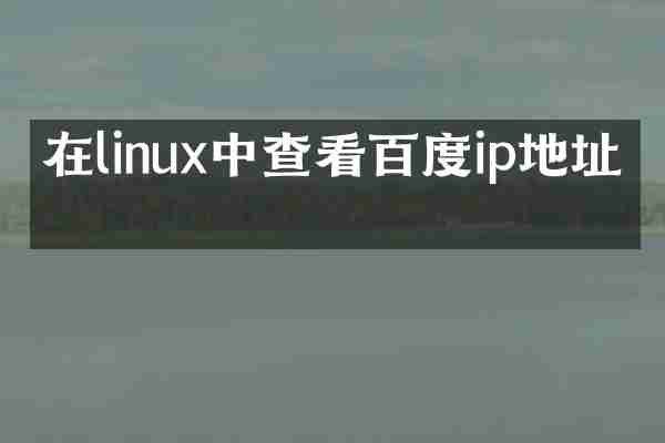 在linux中查看百度ip地址吗