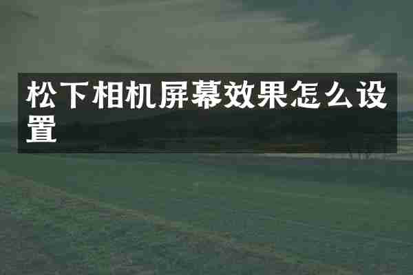 相机屏幕效果怎么设置