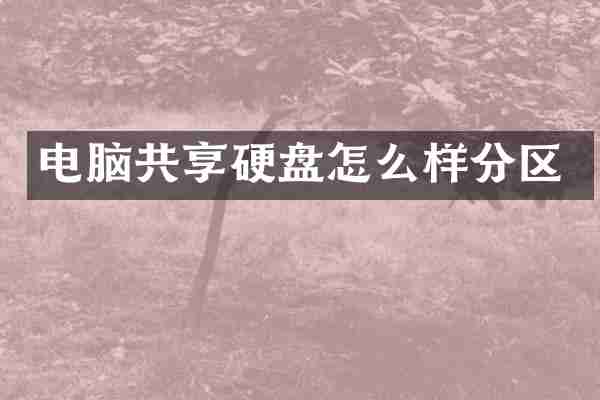 电脑共享硬盘怎么样分区