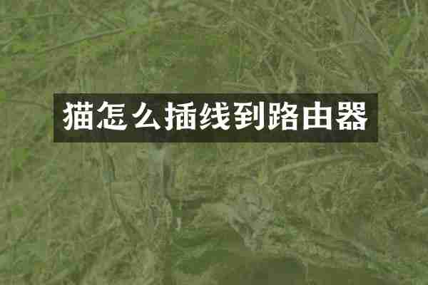 猫怎么插线到路由器