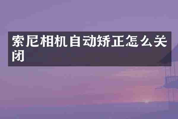 索尼相机自动矫正怎么关闭