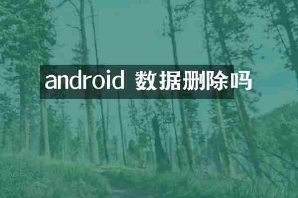 android 数据删除吗