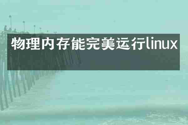 物理内存能完美运行linux吗