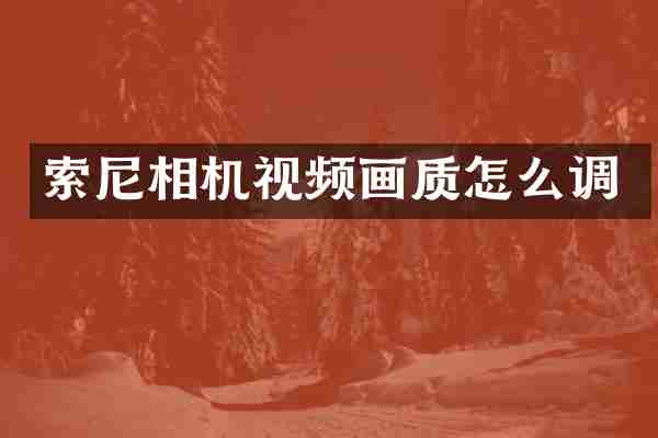 索尼相机视频画质怎么调